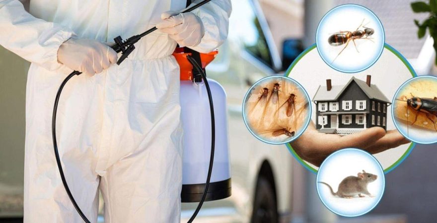 Hisarcık Böcek İlaçlama