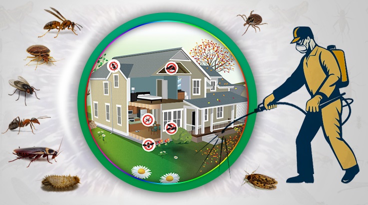 Hisarcık Böcek İlaçlama