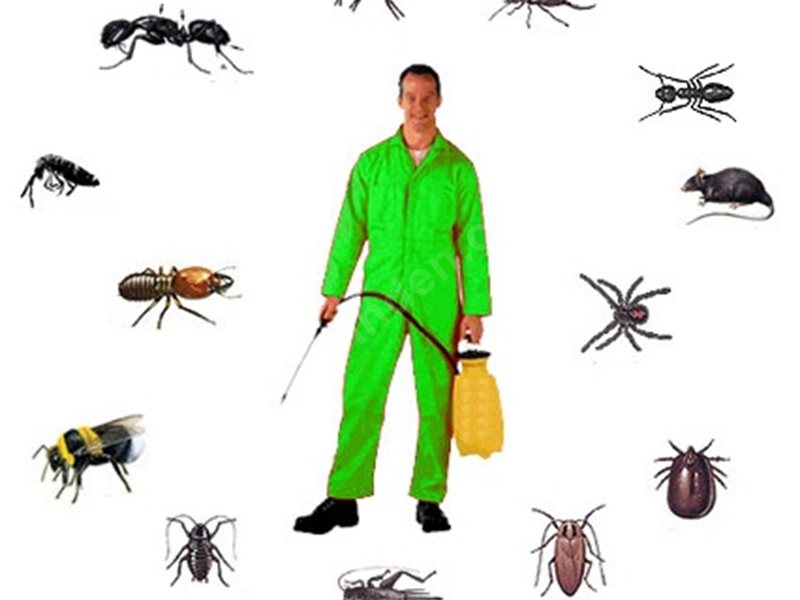 Hisarcık Böcek İlaçlama