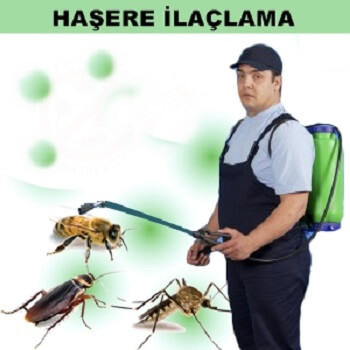 Hisarcık Böcek İlaçlama